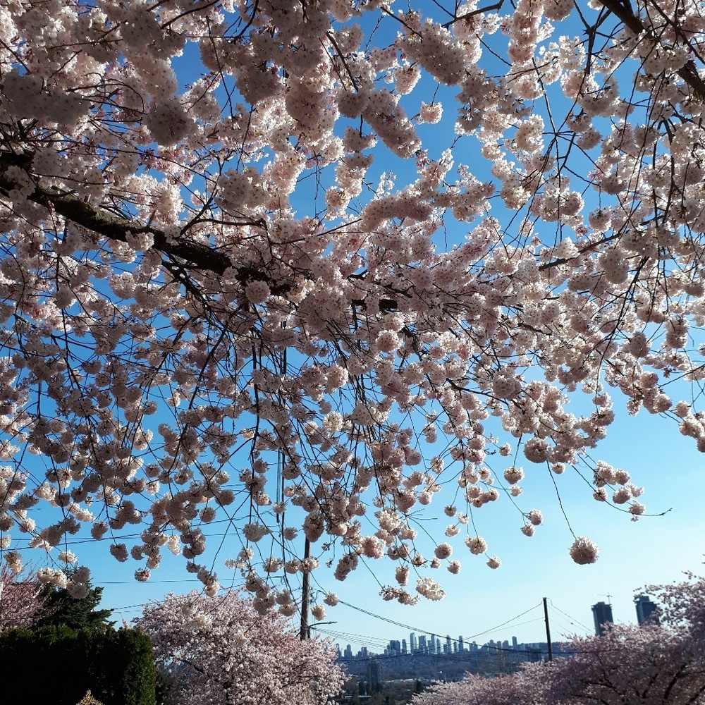 Meet your Posher, Taryn